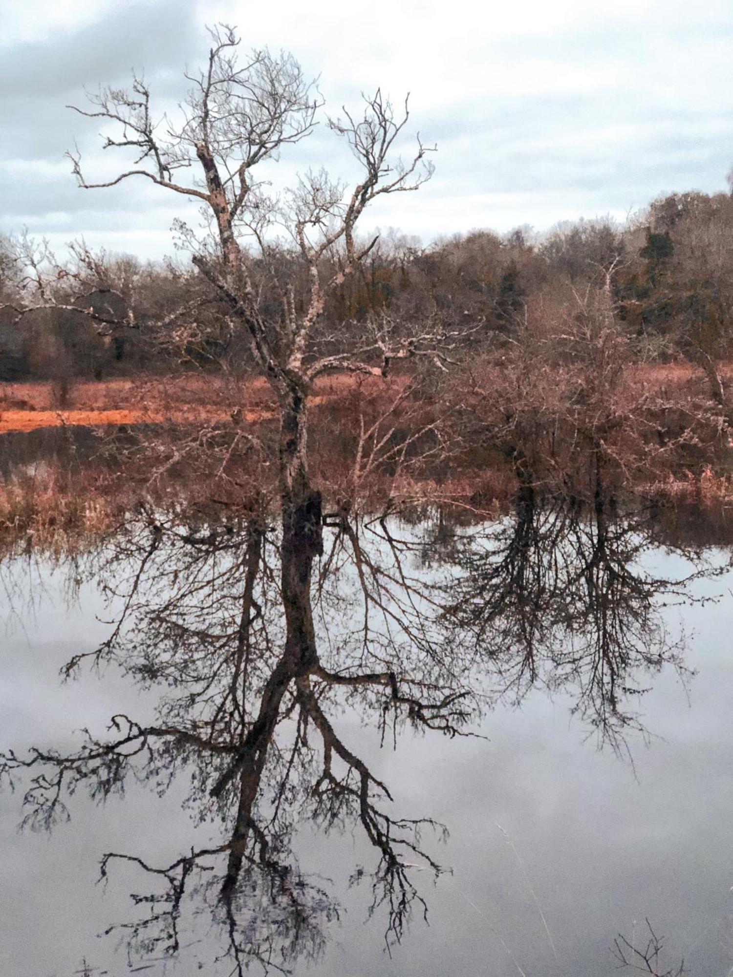 Lough Rynn Rental Mohill Dış mekan fotoğraf