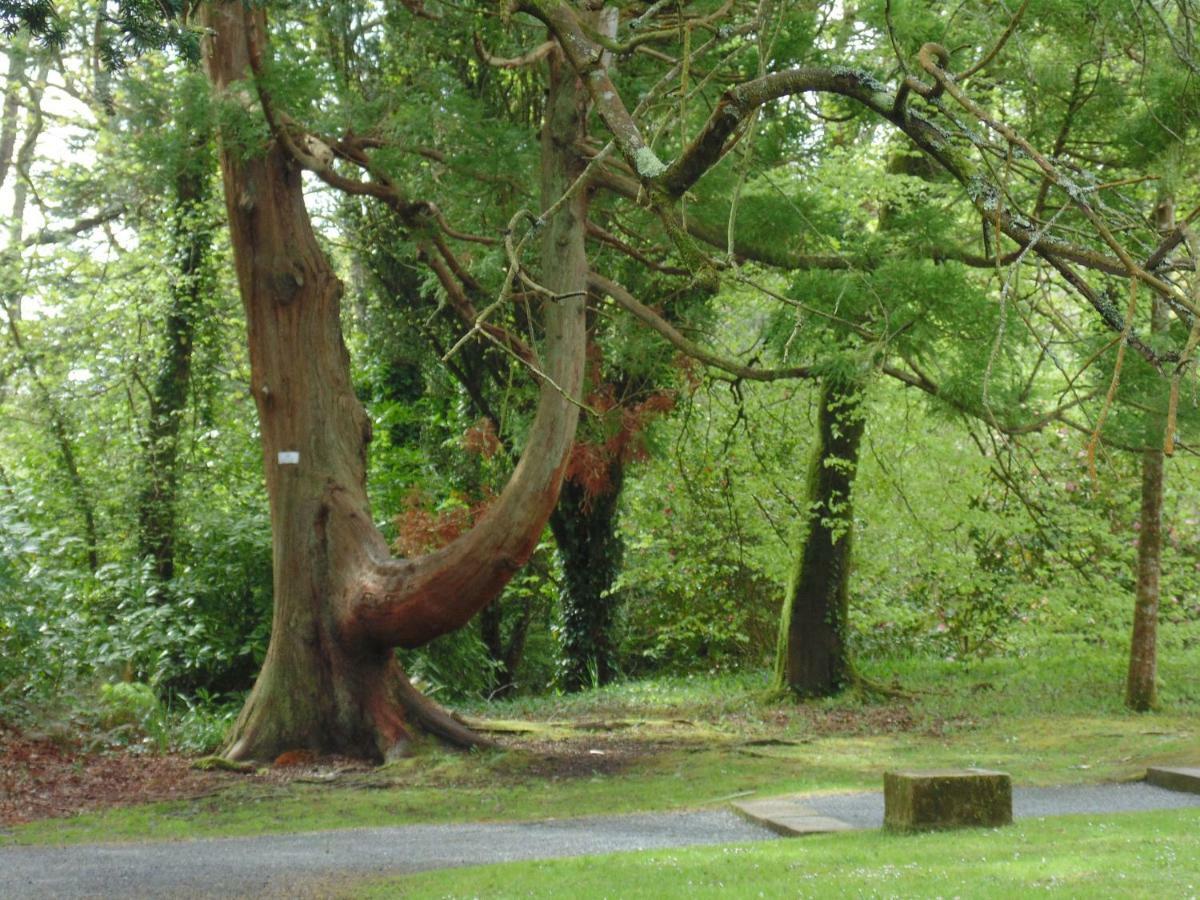 Lough Rynn Rental Mohill Dış mekan fotoğraf